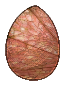 Shipfish's icon